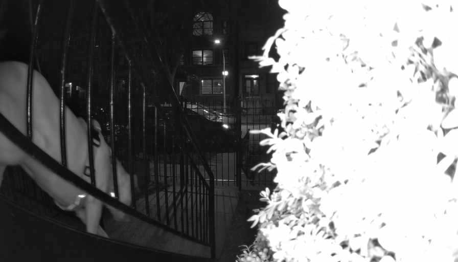 Reolink Camera Two_01_Reolink Home Hub One_20250301195931.jpg